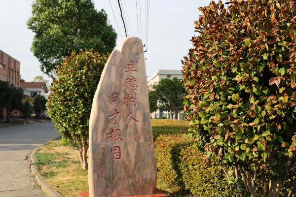 常德德才科技職業(yè)學(xué)校,常德招生就業(yè),電子商務(wù)專業(yè)學(xué)校,專業(yè)學(xué)校報考哪里好