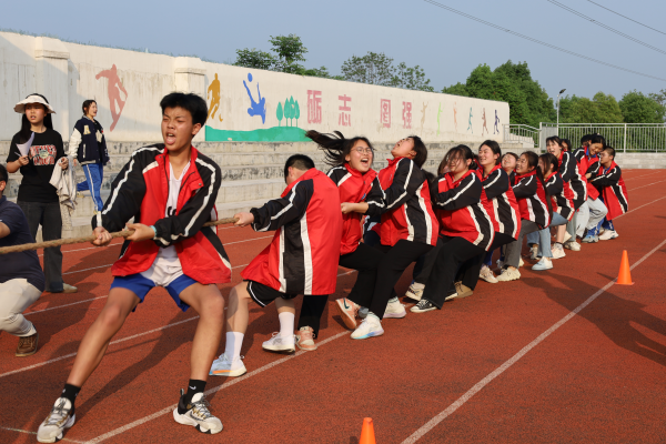 常德德才科技職業(yè)學(xué)校,常德招生就業(yè),電子商務(wù)專業(yè)學(xué)校,專業(yè)學(xué)校報考哪里好